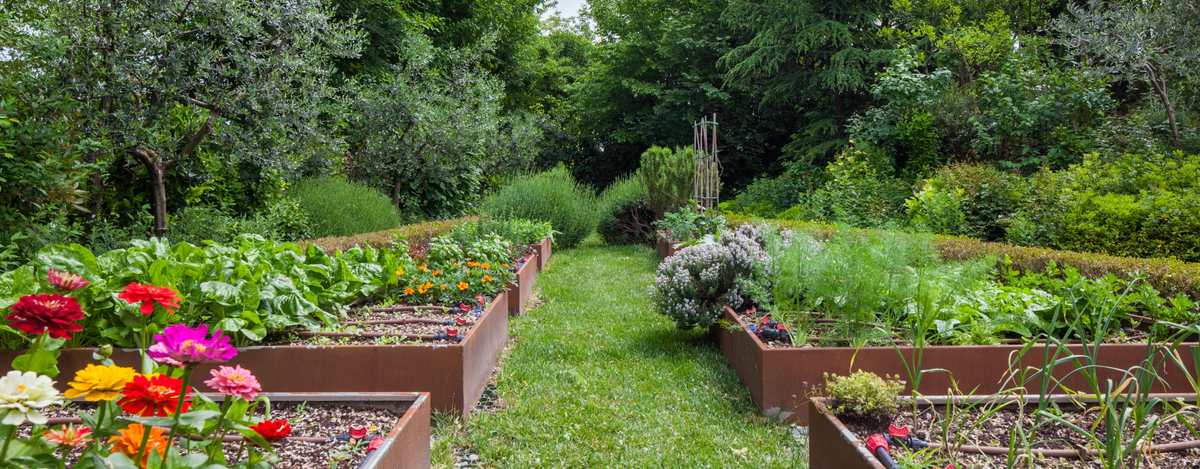RootSlayer Spades and Gardening Tools